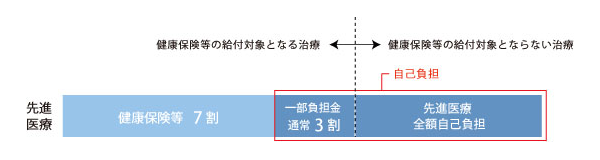 senshiniryou